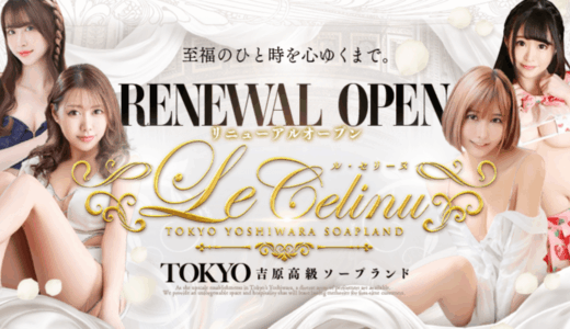 【Review】Experience the Unique “Gold Chair” & Ultimate Omotenashi at Le CELINU